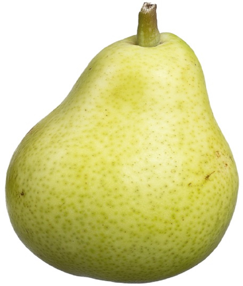 Pears (Naspati )
