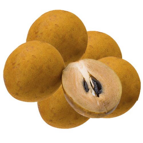 Sapota Round (Chikoo)