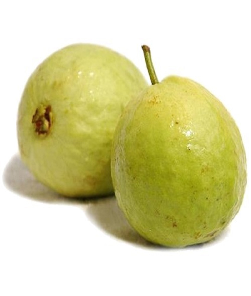 Guava (Amrood)